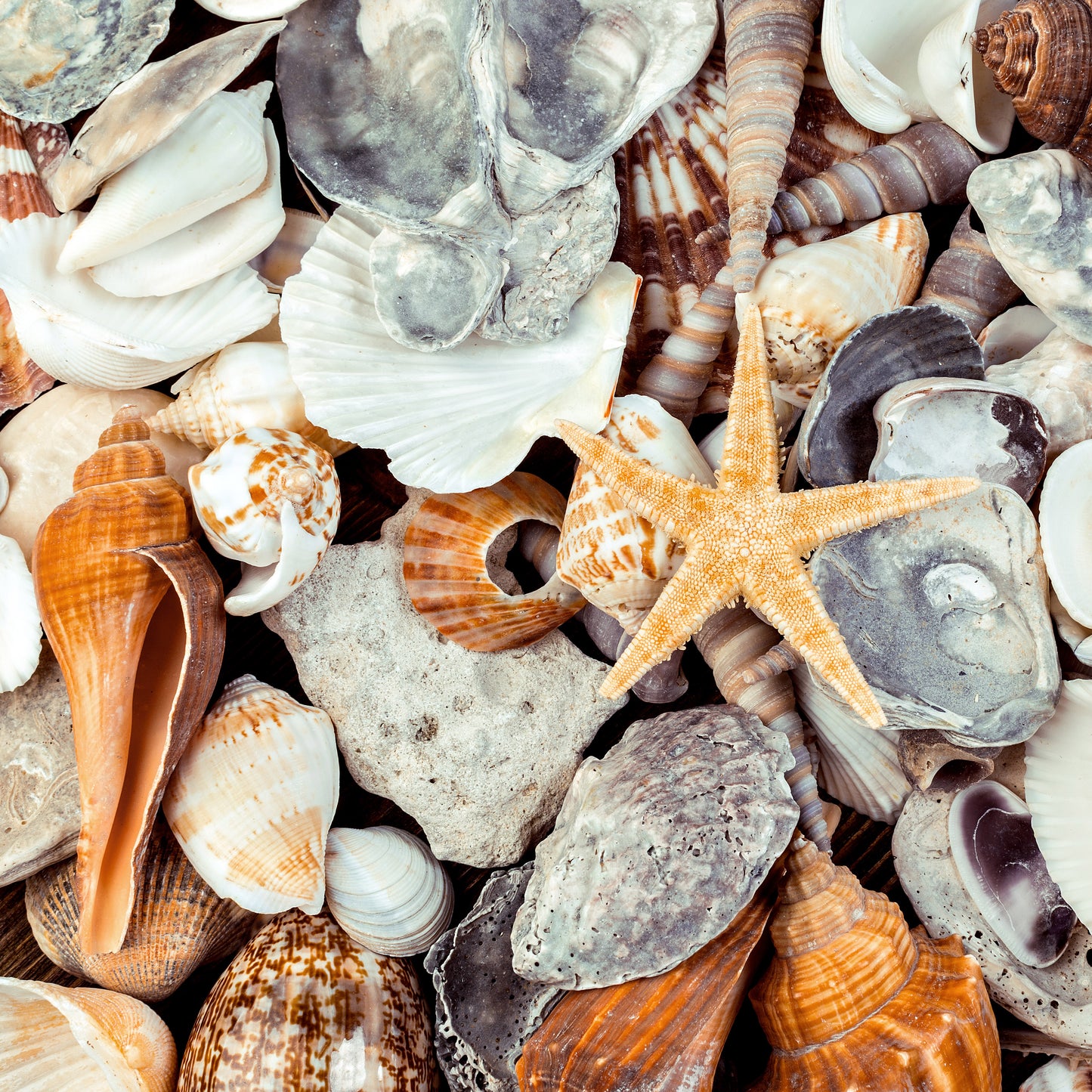 BEACH TEXTURES - MULTIPLE VARIATIONS