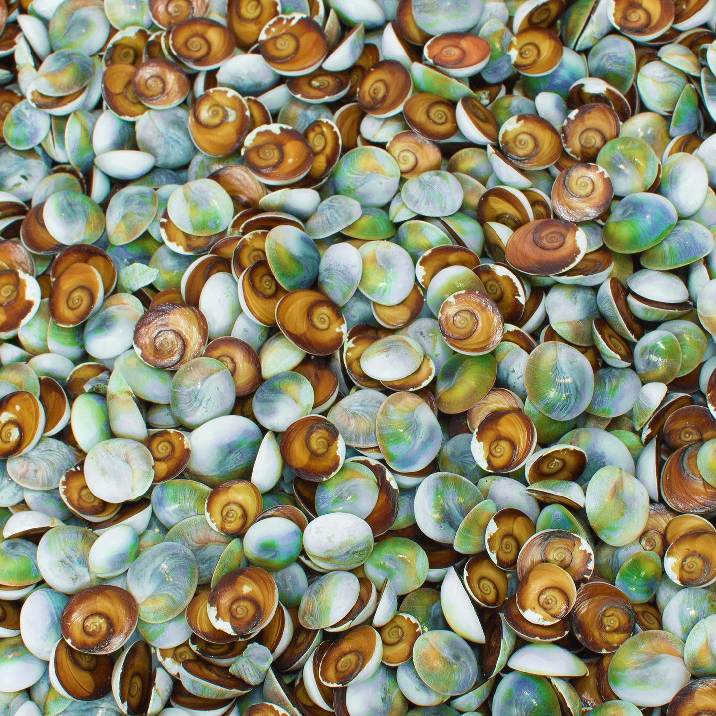 BEACH TEXTURES - MULTIPLE VARIATIONS