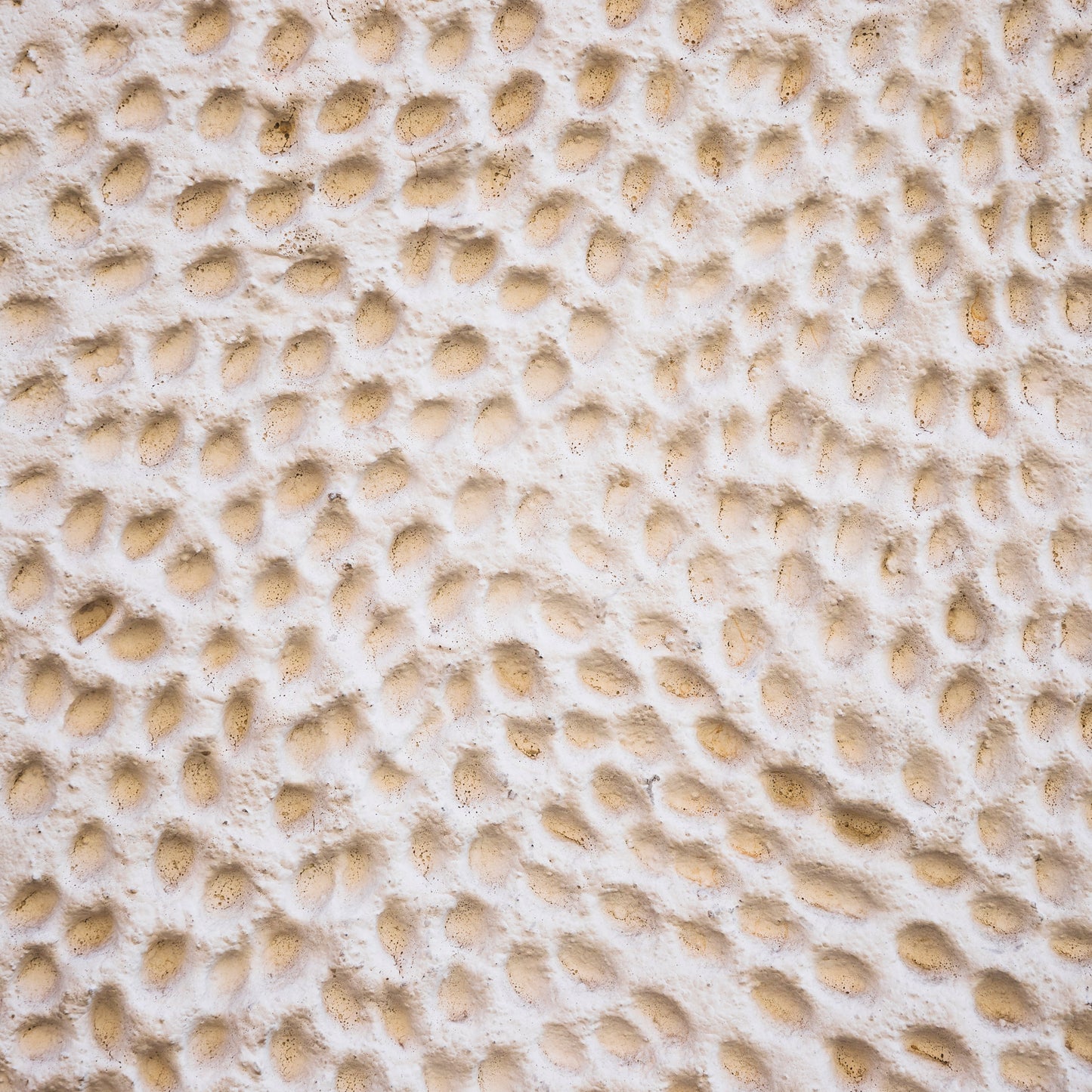 BEACH TEXTURES - MULTIPLE VARIATIONS