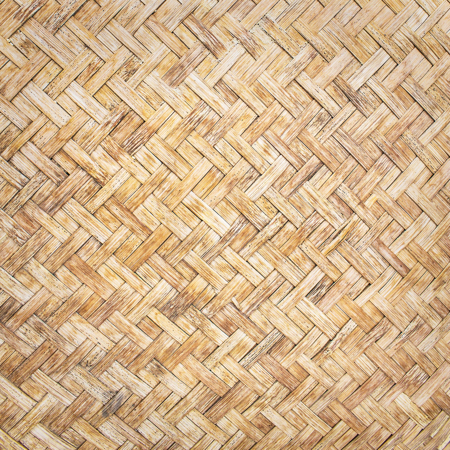 BEACH TEXTURES - MULTIPLE VARIATIONS