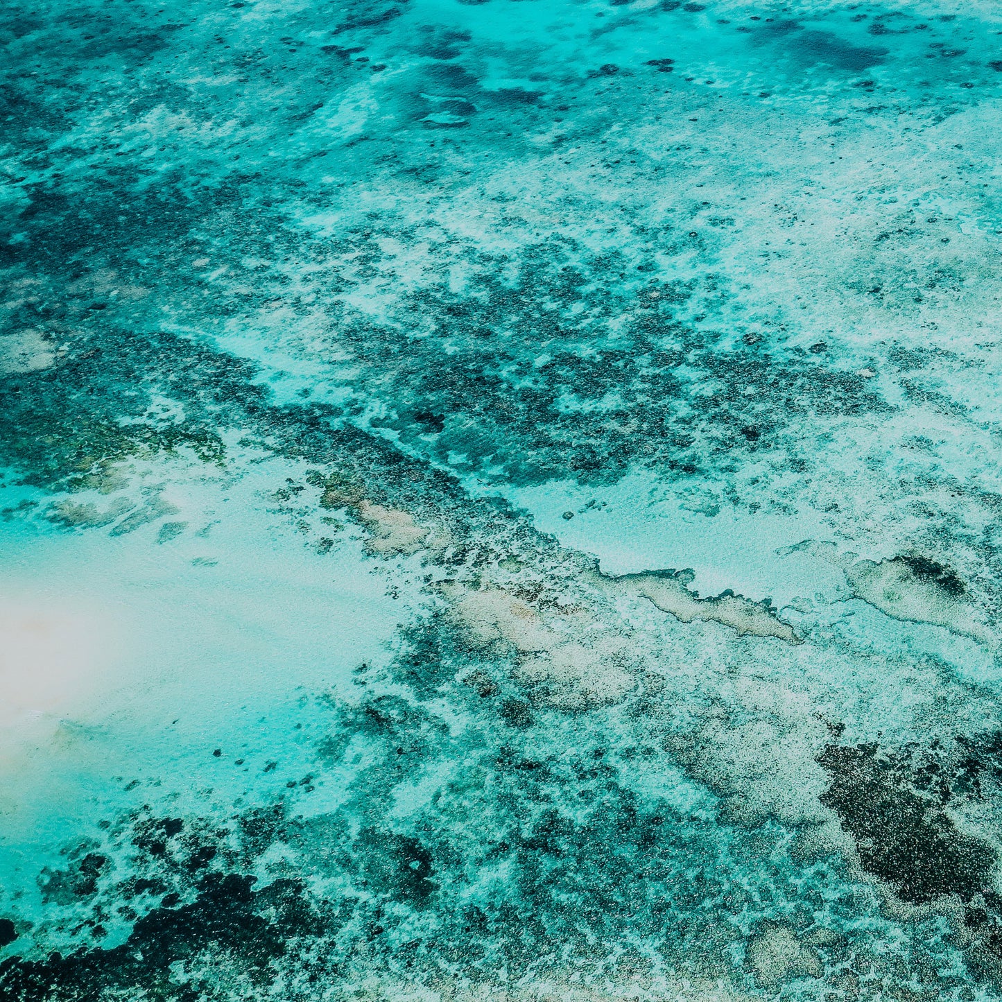 BEACH TEXTURES - MULTIPLE VARIATIONS