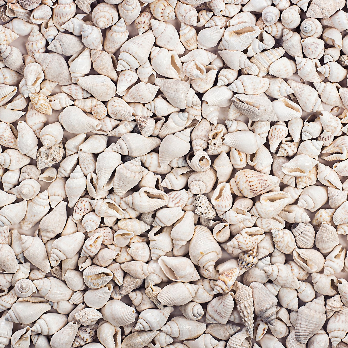 BEACH TEXTURES - MULTIPLE VARIATIONS