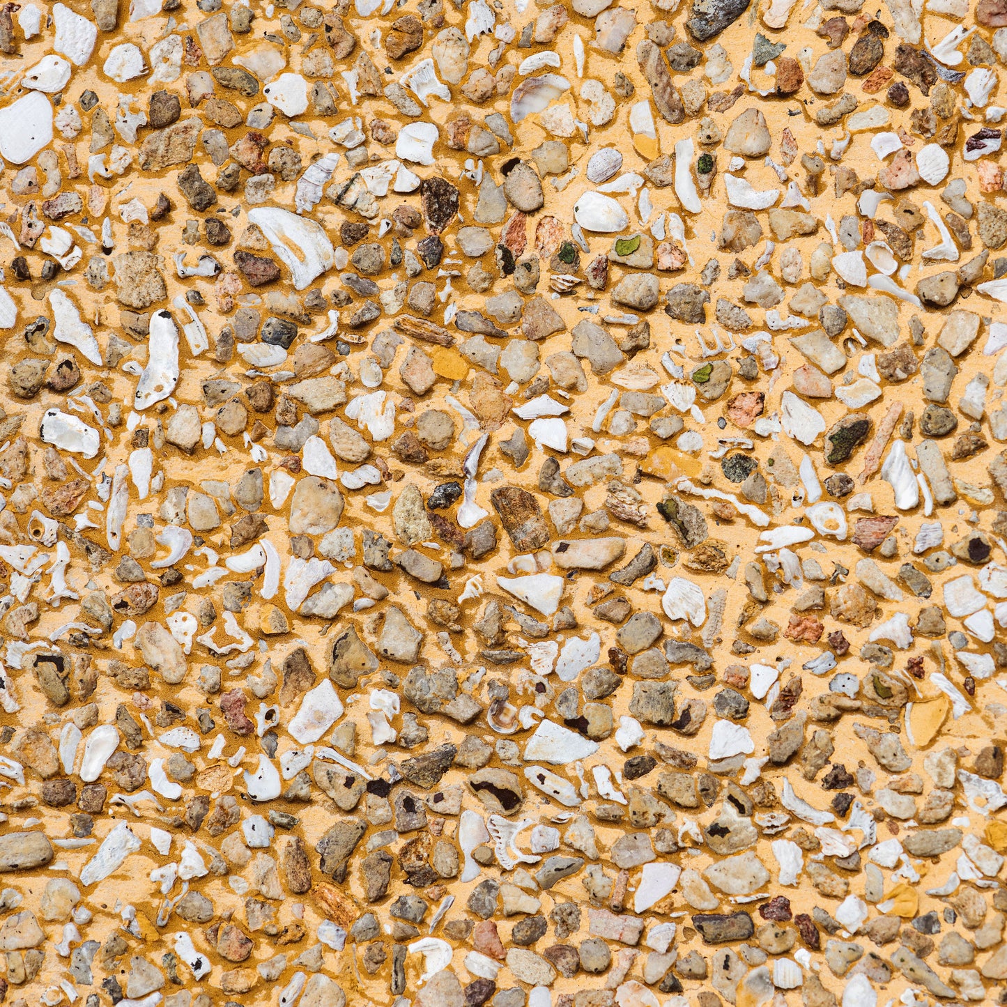 BEACH TEXTURES - MULTIPLE VARIATIONS