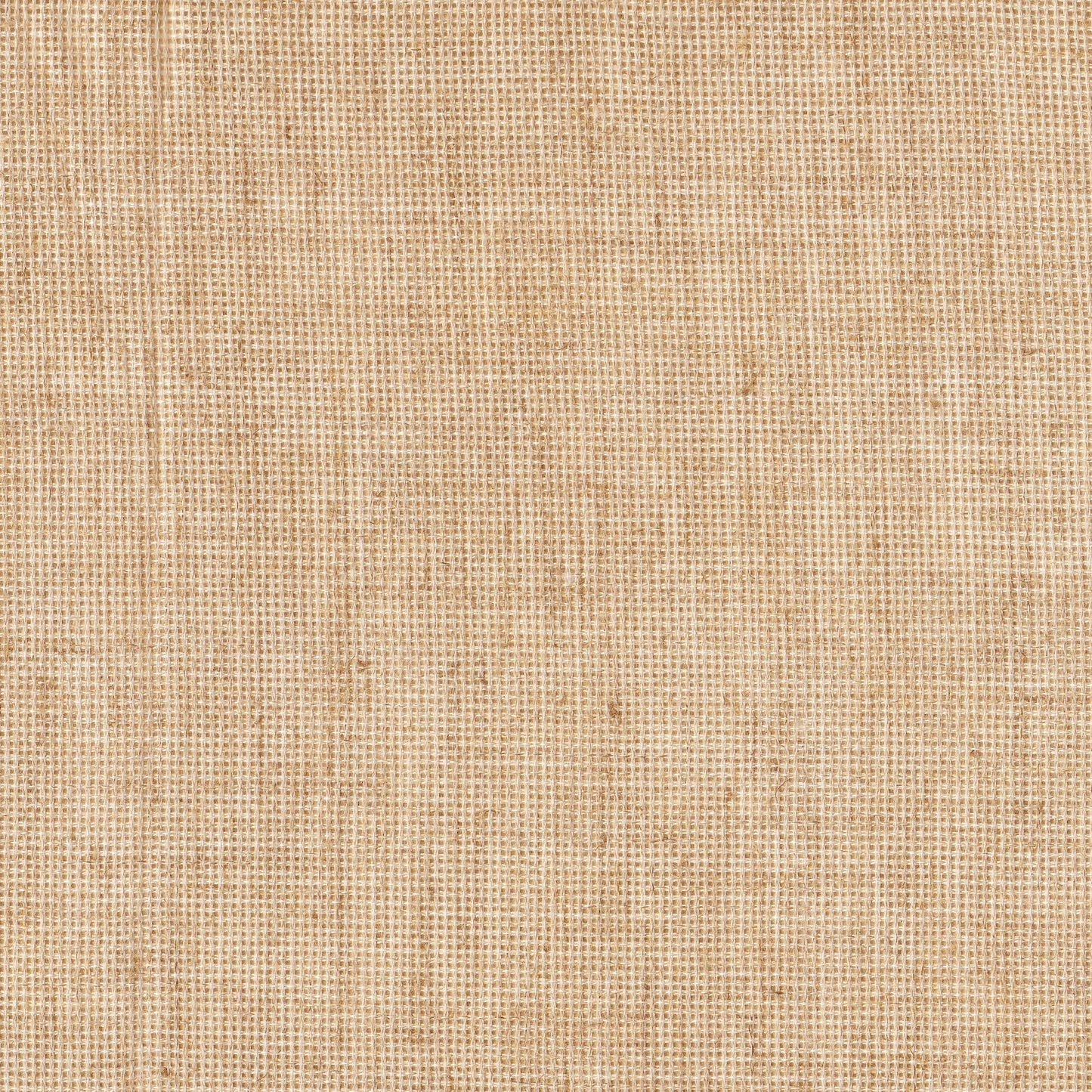 BEACH TEXTURES - MULTIPLE VARIATIONS