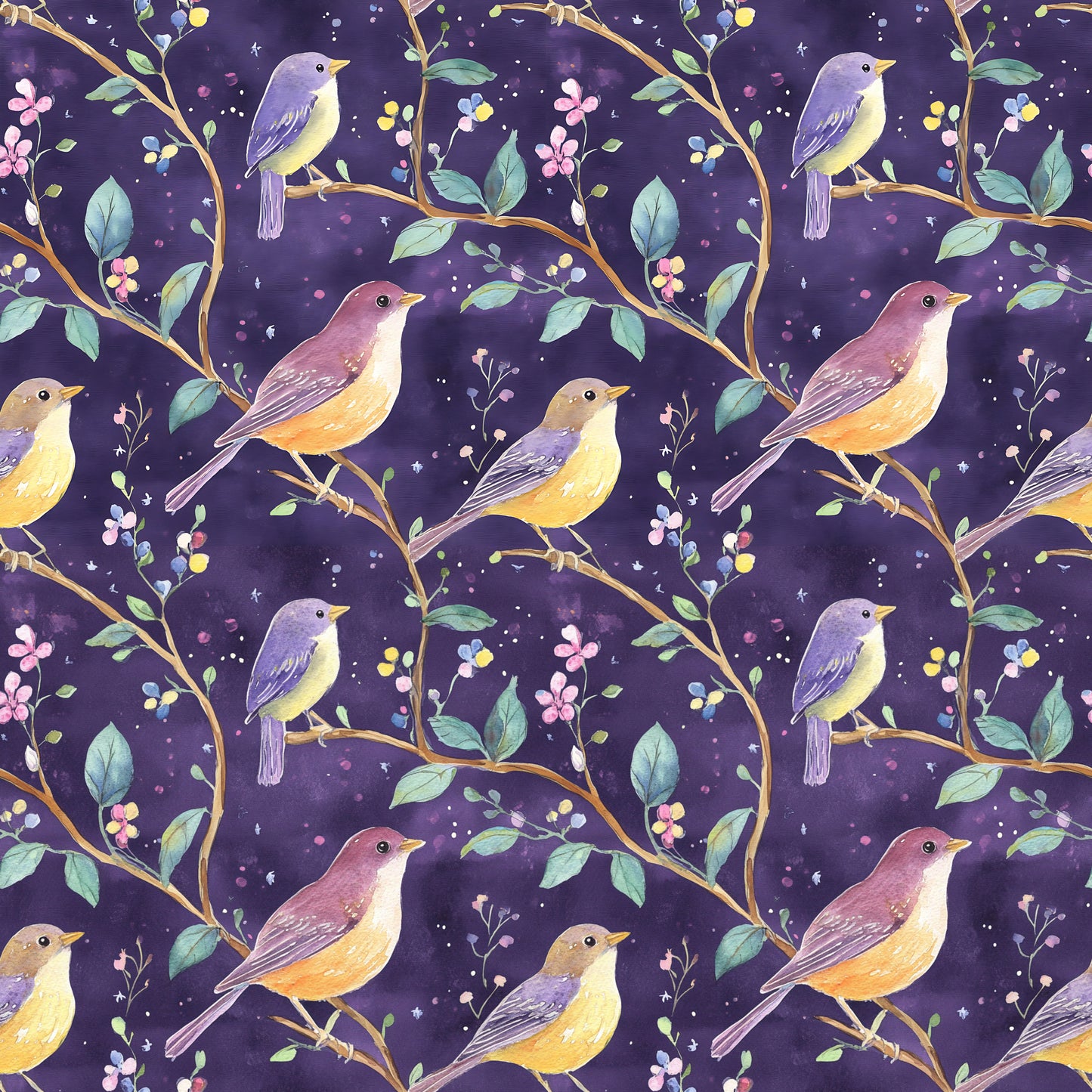 OWLS AND BIRDS - MULTIPLE VARIATIONS