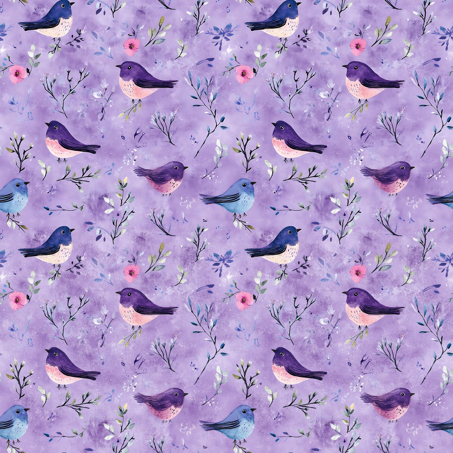 OWLS AND BIRDS - MULTIPLE VARIATIONS