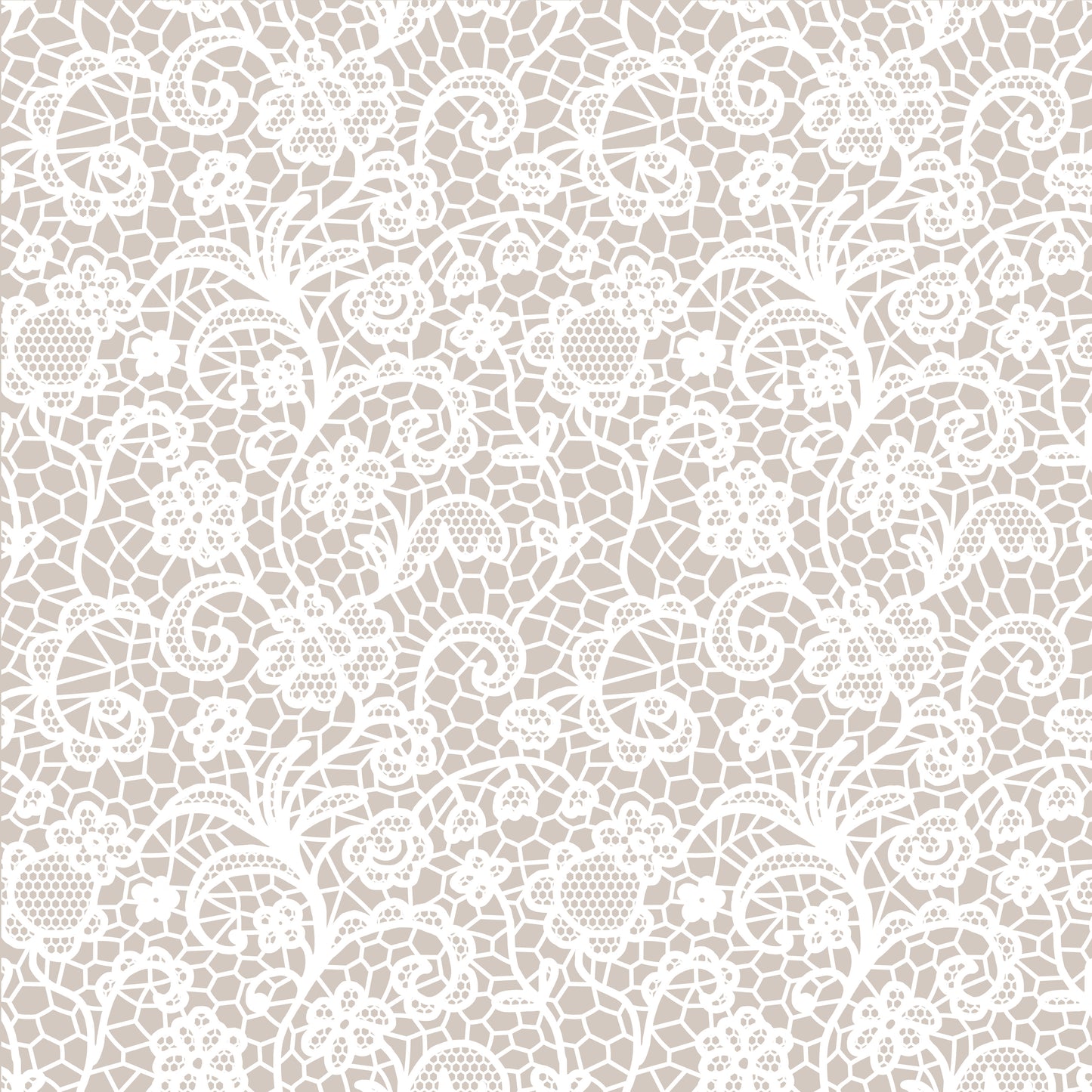 WHITE LACE VINYL - MULTIPLE VARIATIONS