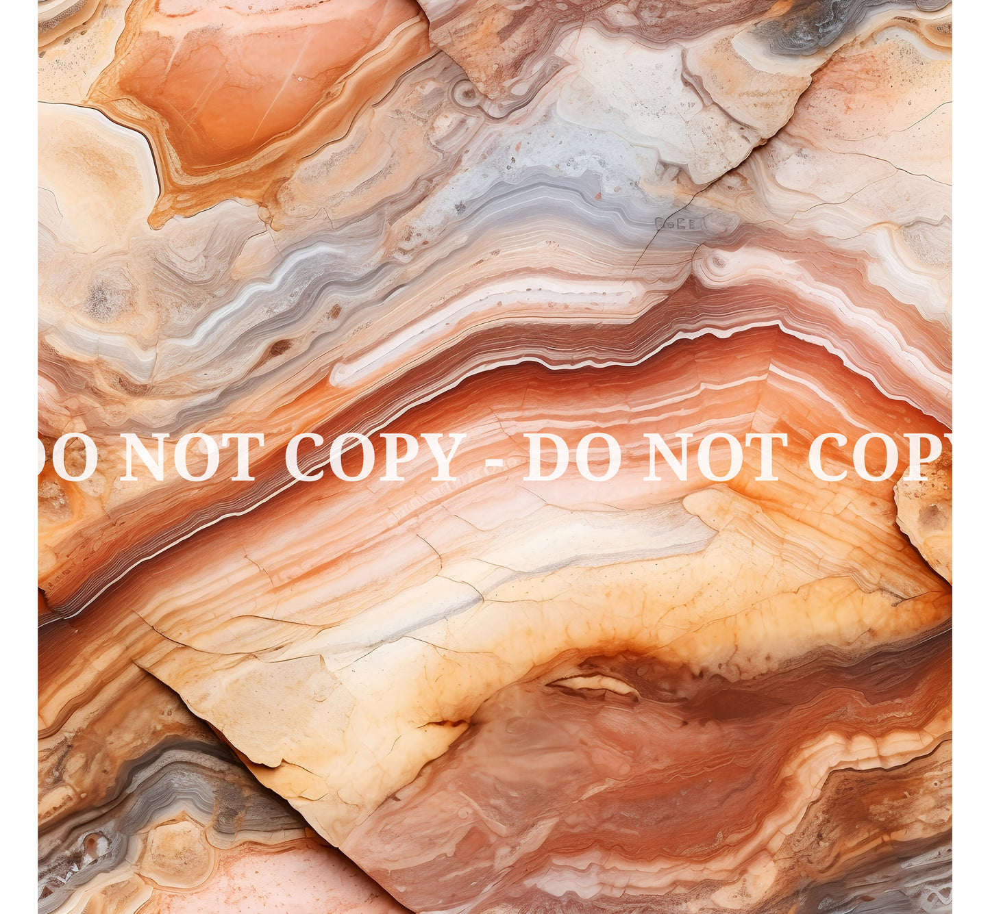 PETRIFIED WOOD - MULTIPLE VARIATIONS