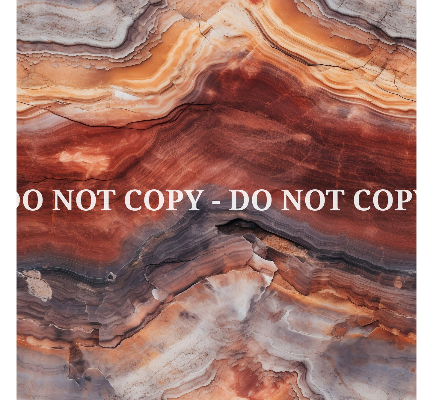 PETRIFIED WOOD - MULTIPLE VARIATIONS
