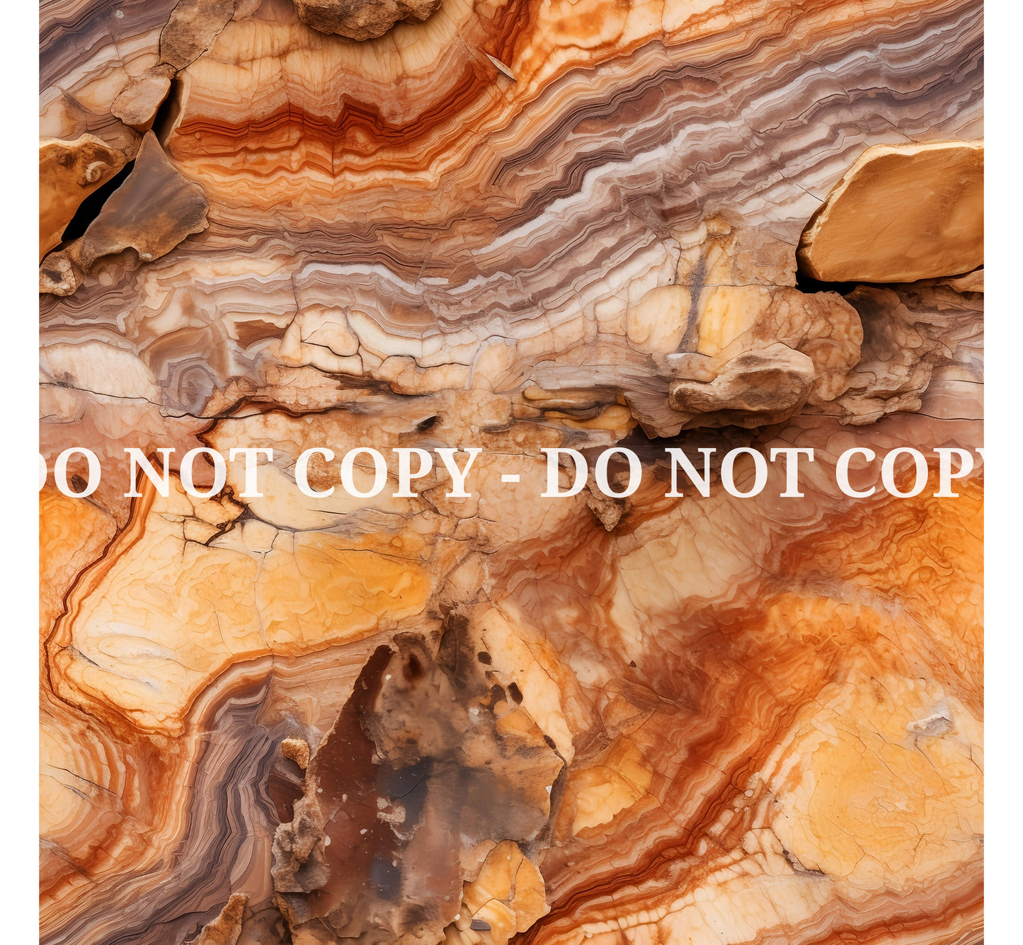 PETRIFIED WOOD - MULTIPLE VARIATIONS