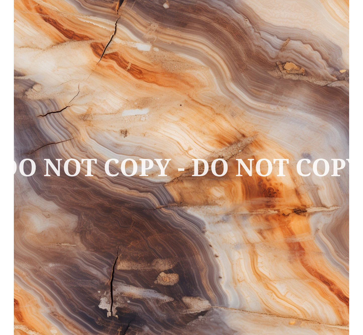 PETRIFIED WOOD - MULTIPLE VARIATIONS