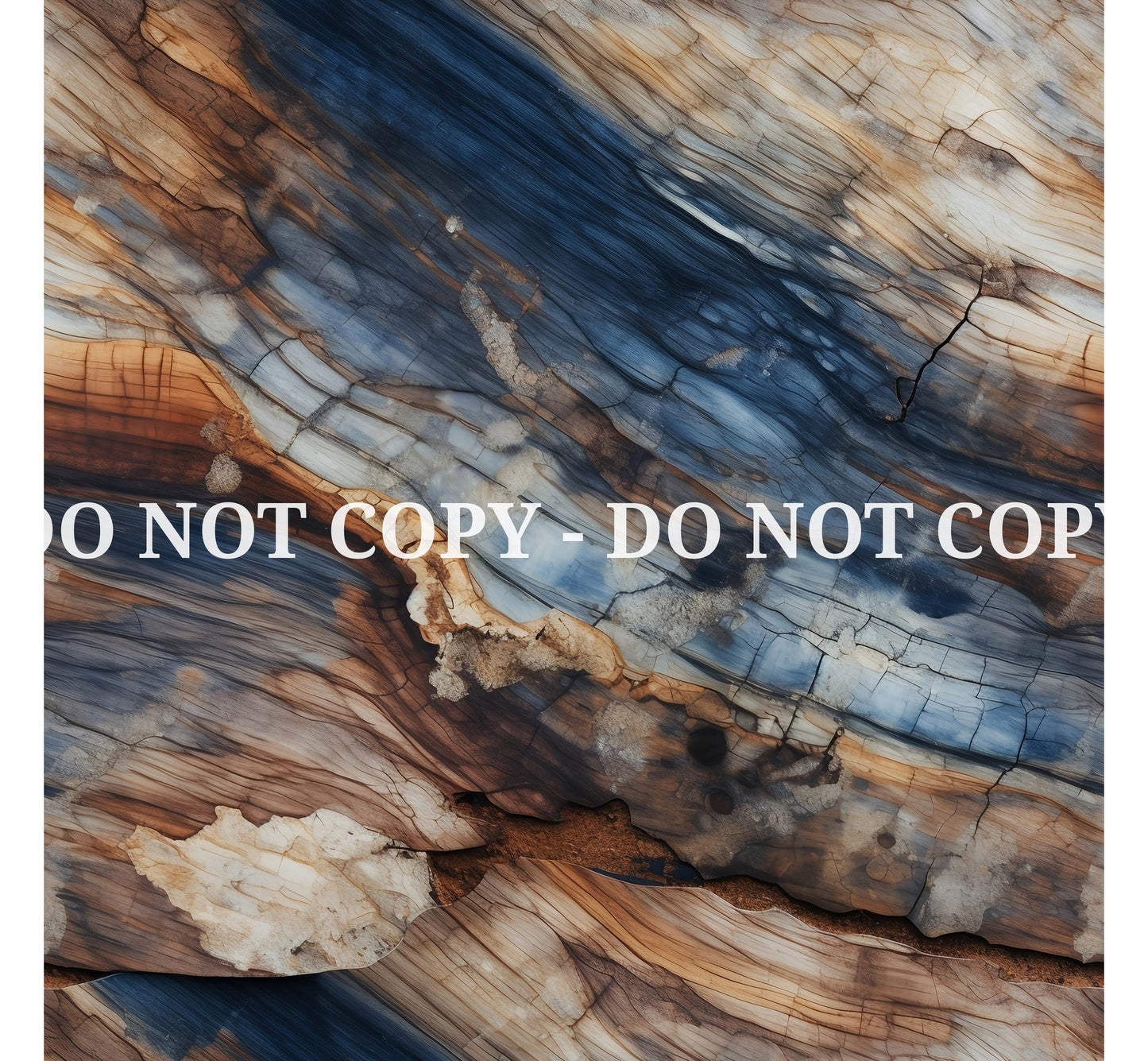 PETRIFIED WOOD - MULTIPLE VARIATIONS
