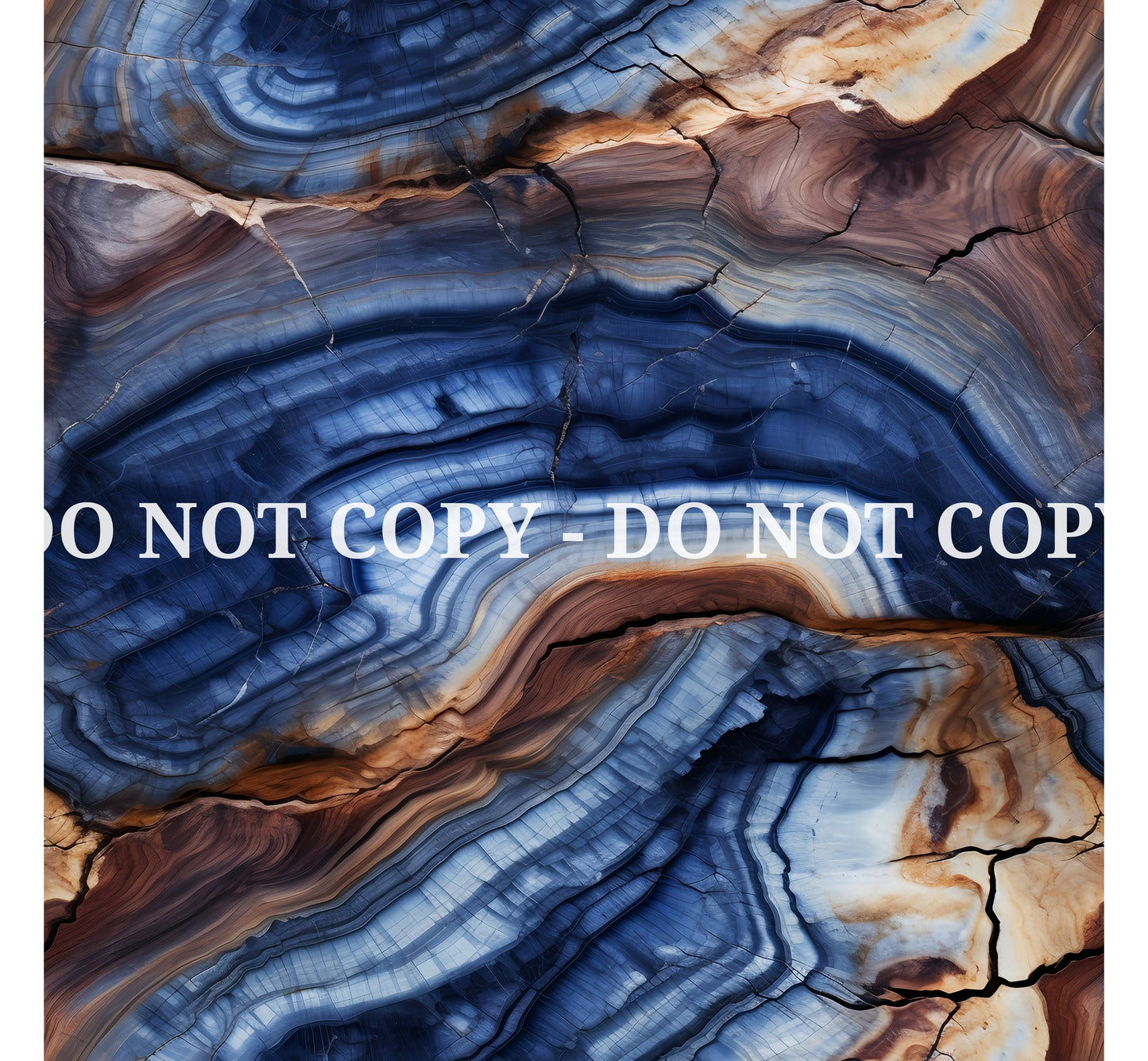 PETRIFIED WOOD - MULTIPLE VARIATIONS