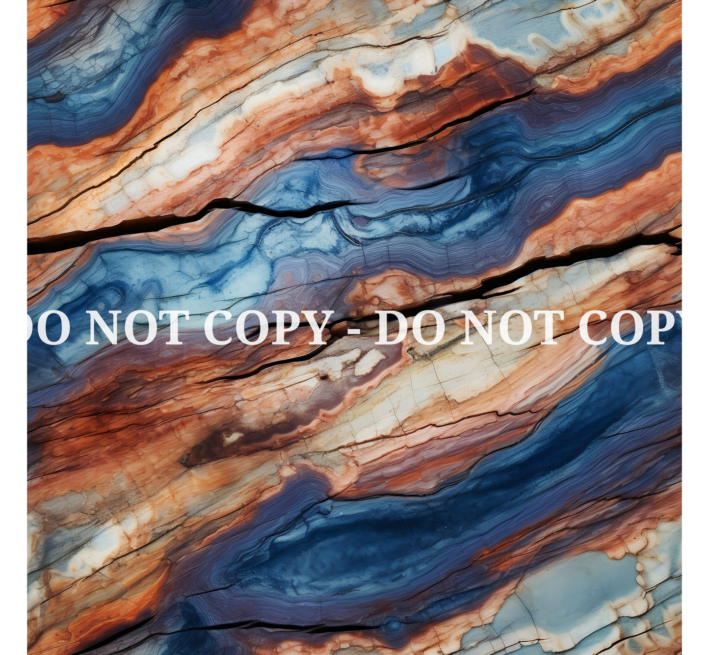 PETRIFIED WOOD - MULTIPLE VARIATIONS