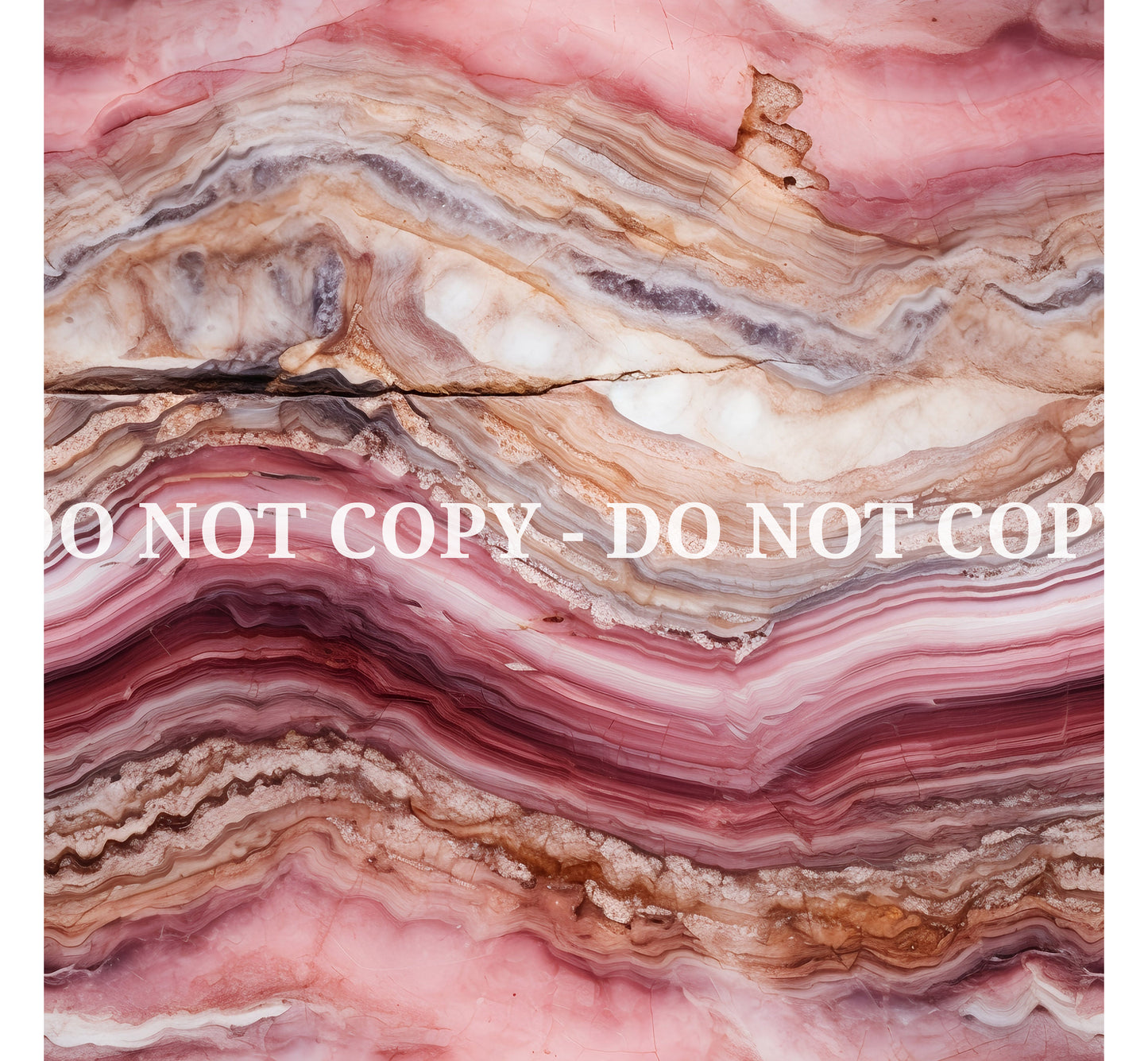 PETRIFIED WOOD - MULTIPLE VARIATIONS