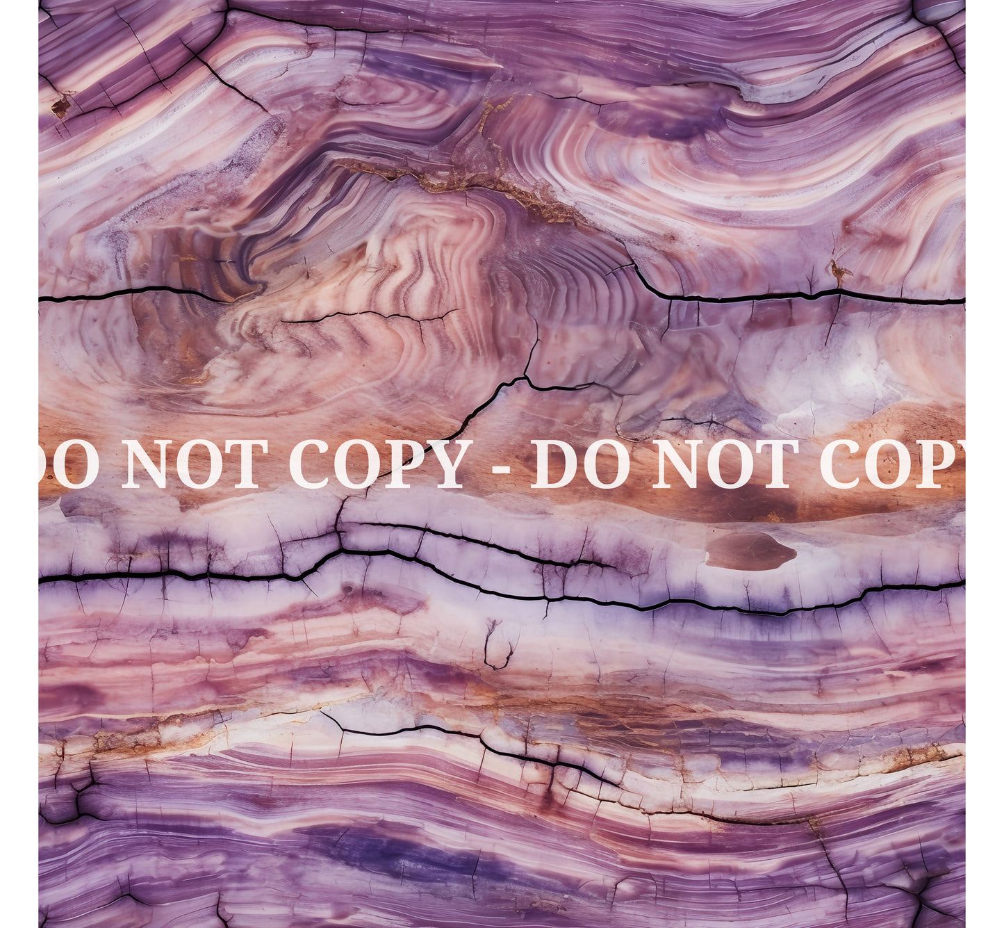 PETRIFIED WOOD - MULTIPLE VARIATIONS