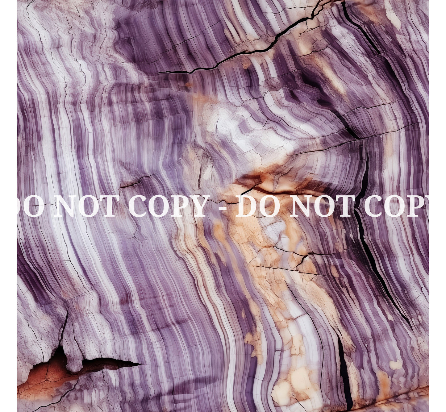 PETRIFIED WOOD - MULTIPLE VARIATIONS