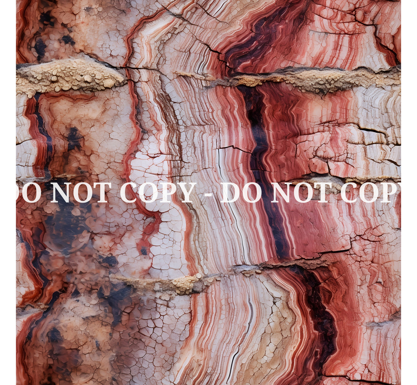 PETRIFIED WOOD - MULTIPLE VARIATIONS