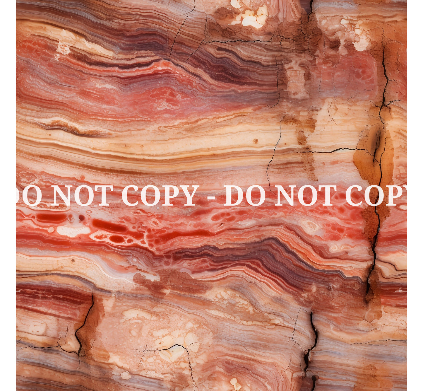 PETRIFIED WOOD - MULTIPLE VARIATIONS