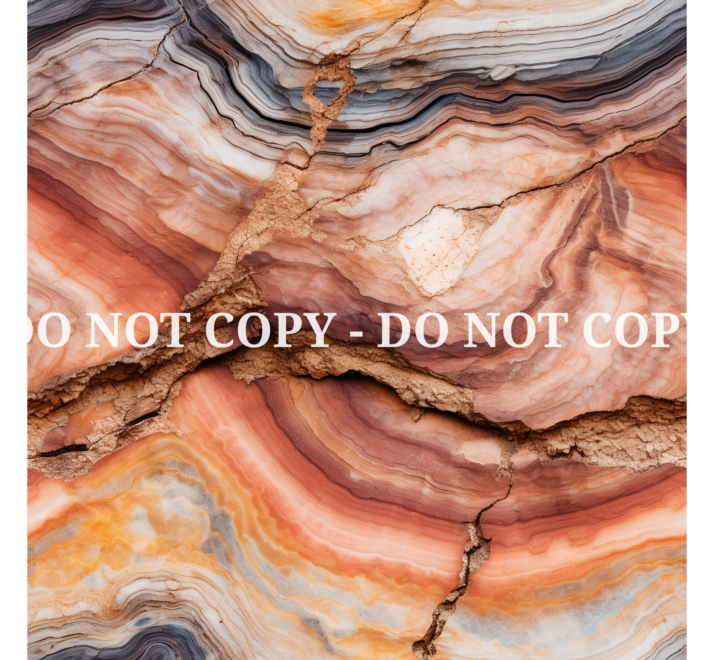 PETRIFIED WOOD - MULTIPLE VARIATIONS