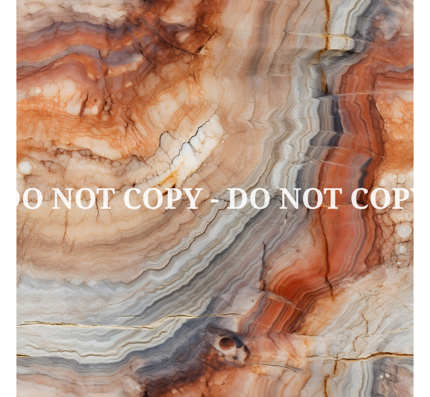 PETRIFIED WOOD - MULTIPLE VARIATIONS