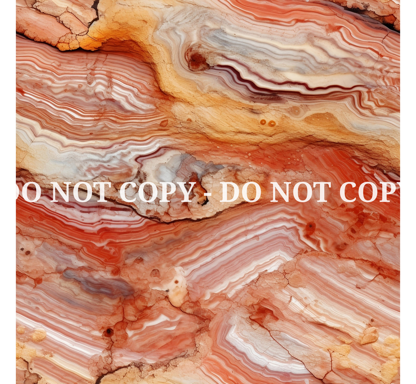 PETRIFIED WOOD - MULTIPLE VARIATIONS