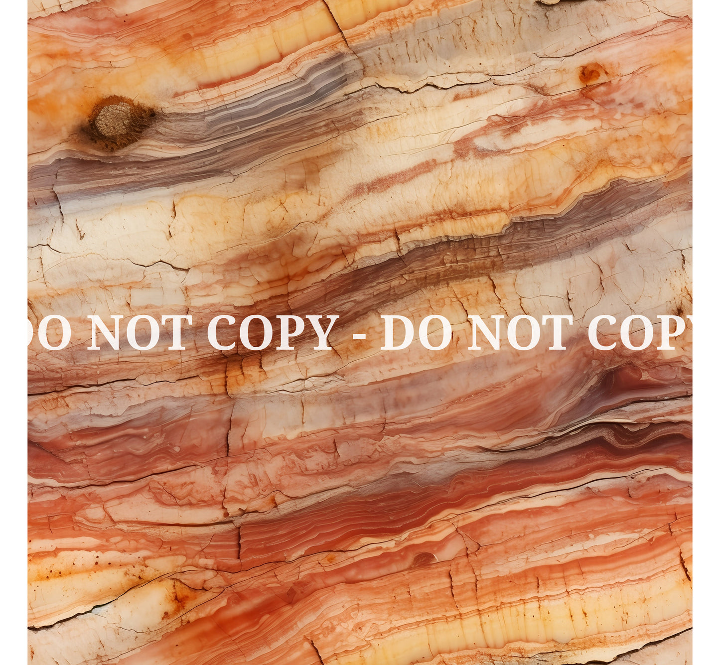 PETRIFIED WOOD - MULTIPLE VARIATIONS
