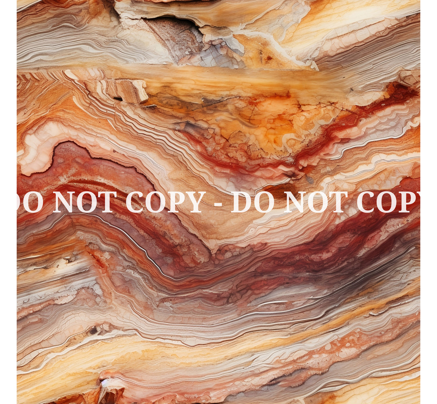 PETRIFIED WOOD - MULTIPLE VARIATIONS