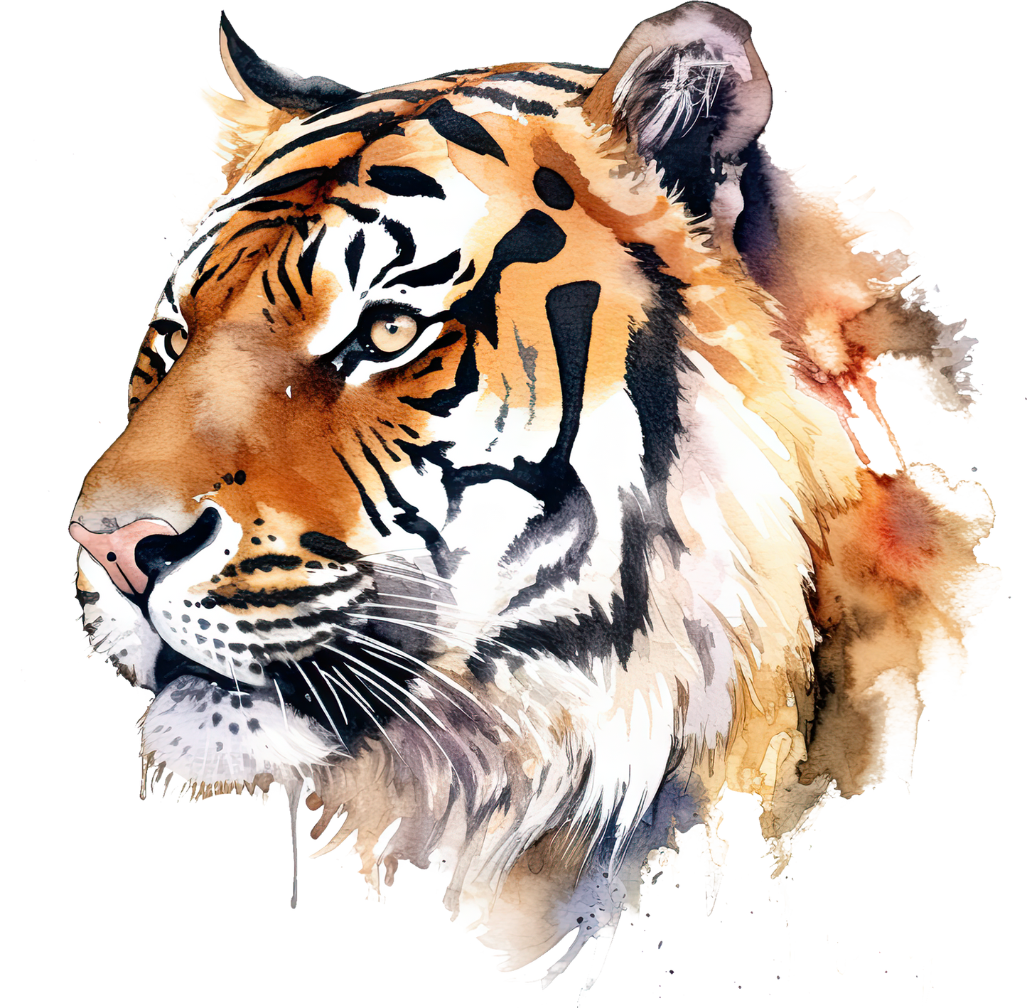 TIGER 23