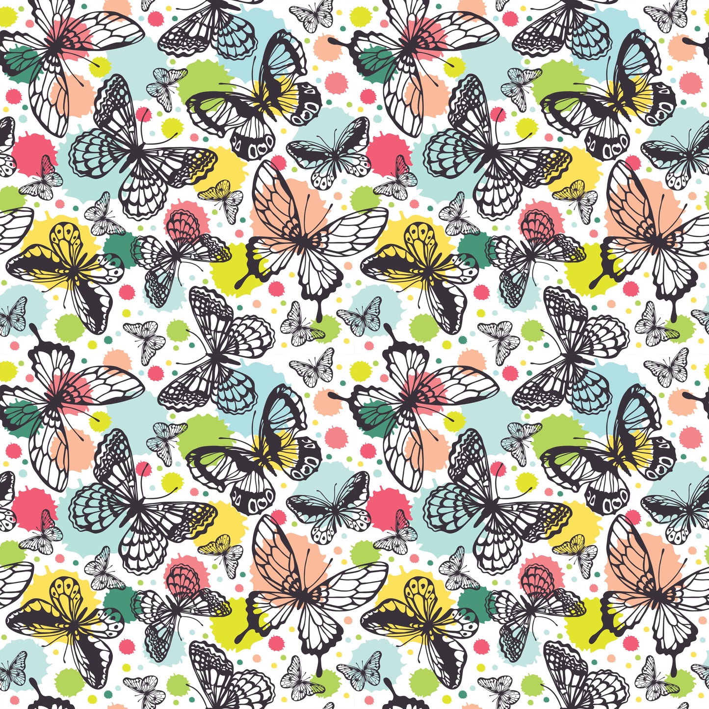 BUTTERFLY  - MULTIPLE VARIATIONS