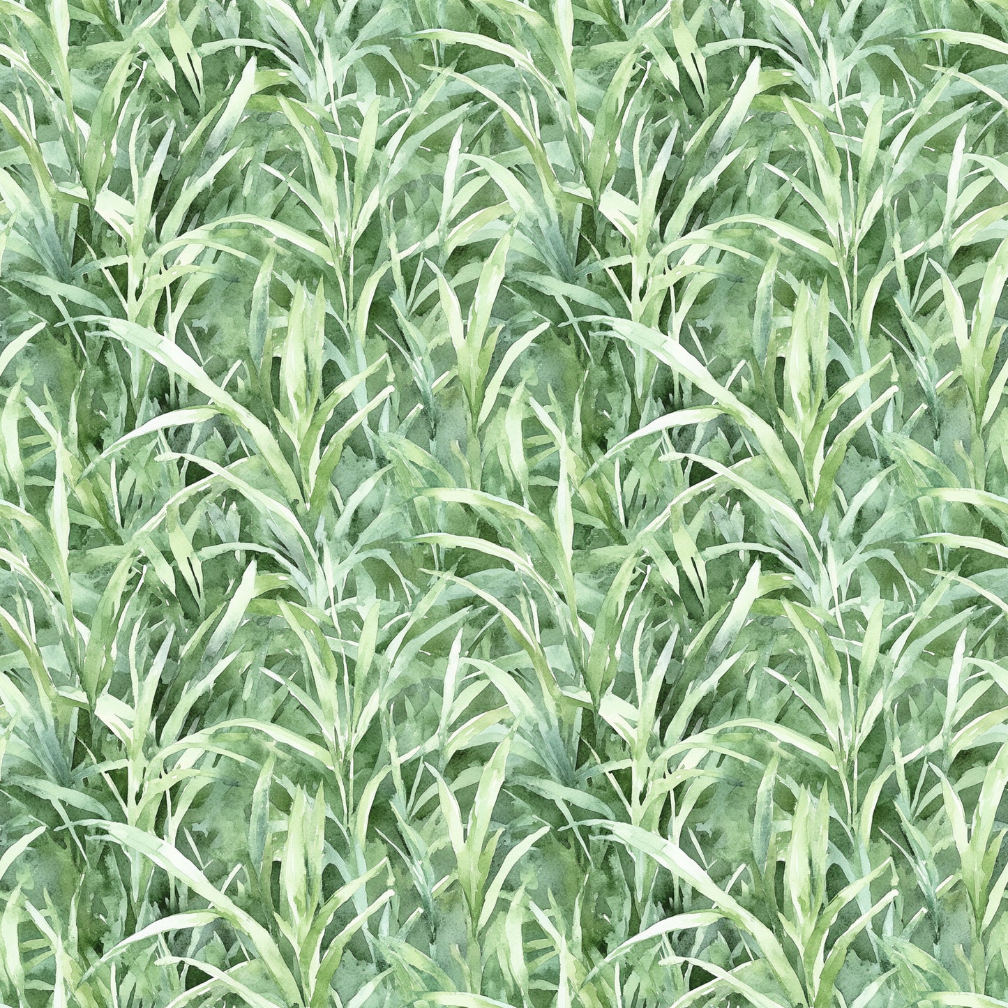 SPRING GARDEN - MULTIPLE VARIATIONS