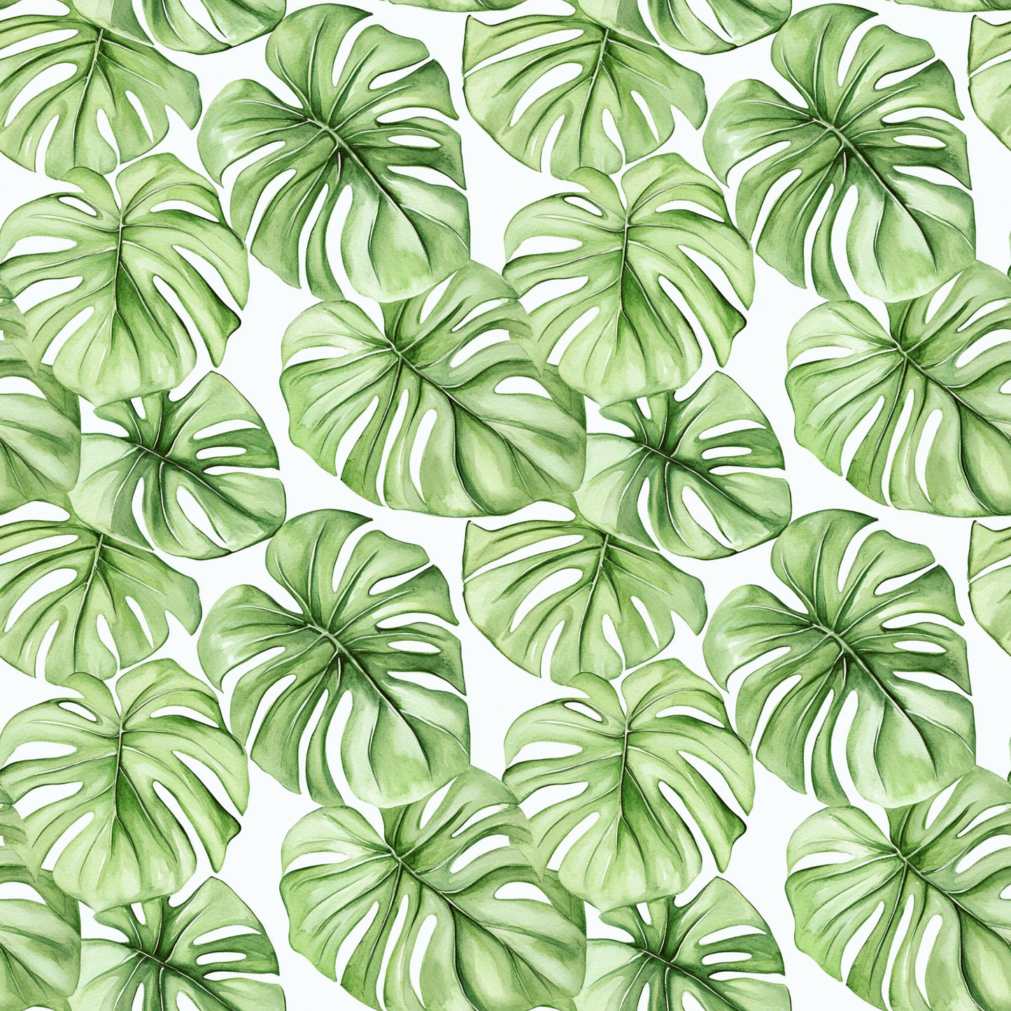 PALM CLUB  - MULTIPLE VARIATIONS