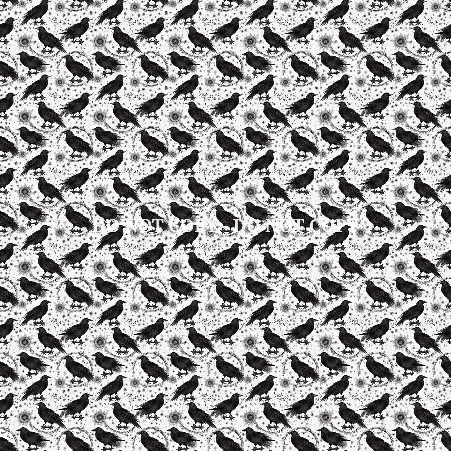 RAVEN NIGHT - MULTIPLE VARIATIONS