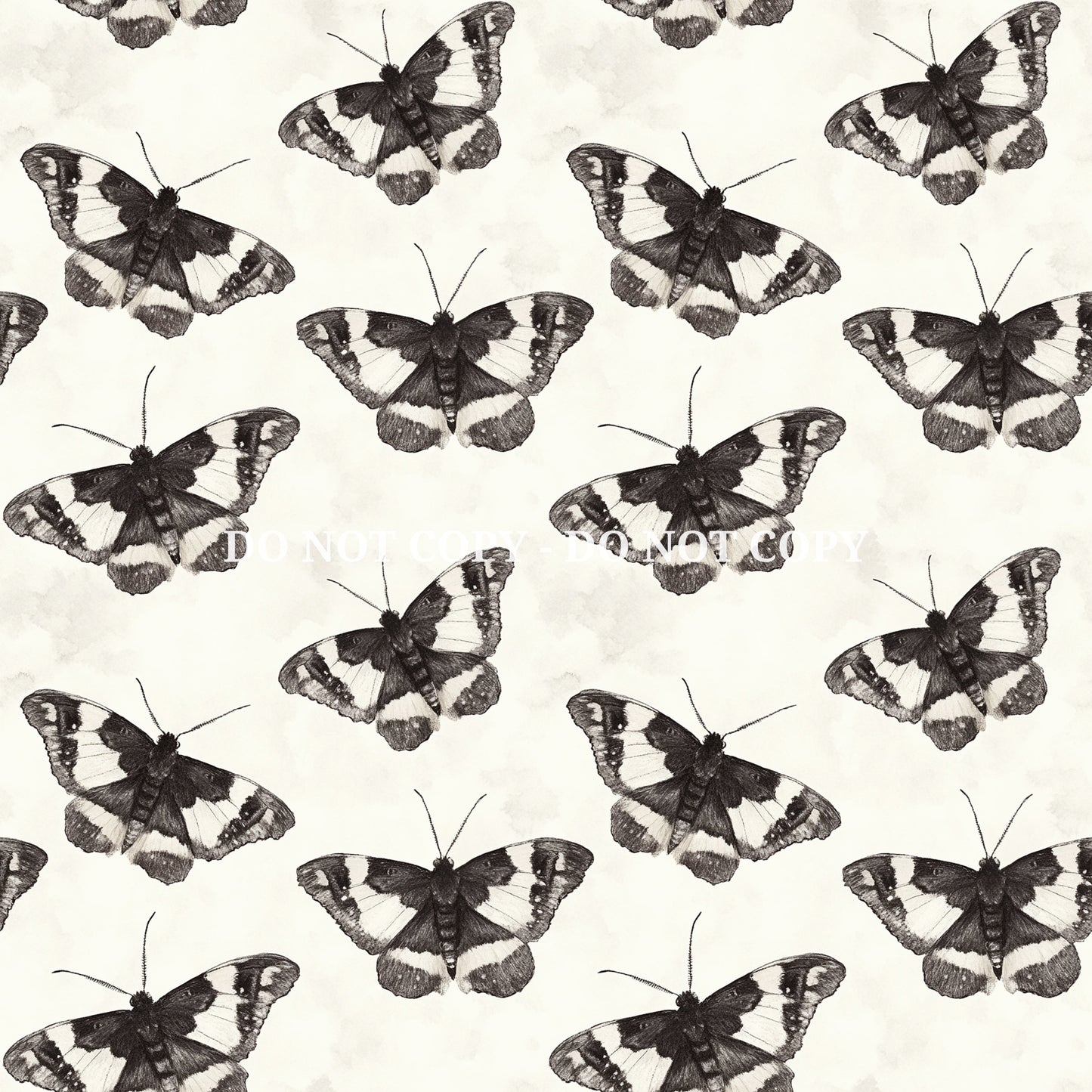 MEDIEVAL CORE - MULTIPLE VARIATIONS