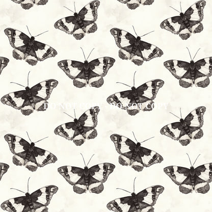 MEDIEVAL CORE - MULTIPLE VARIATIONS