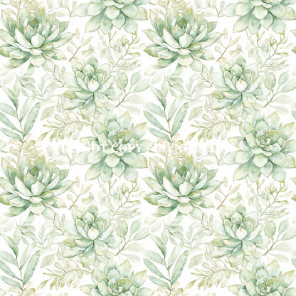 VIVA MEXICO - MULTIPLE VARIATIONS