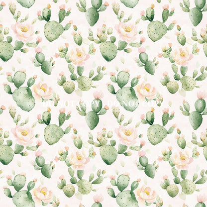 VIVA MEXICO - MULTIPLE VARIATIONS