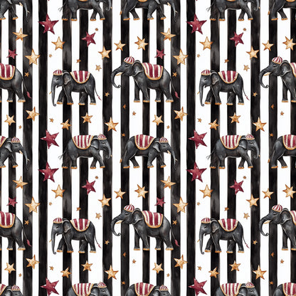 DARK CIRCUS - MULTIPLE VARIATIONS