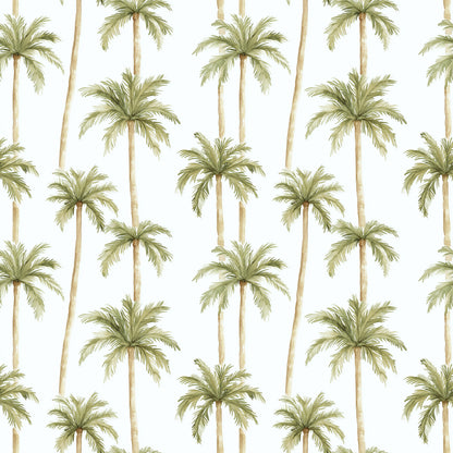 PALM CLUB  - MULTIPLE VARIATIONS