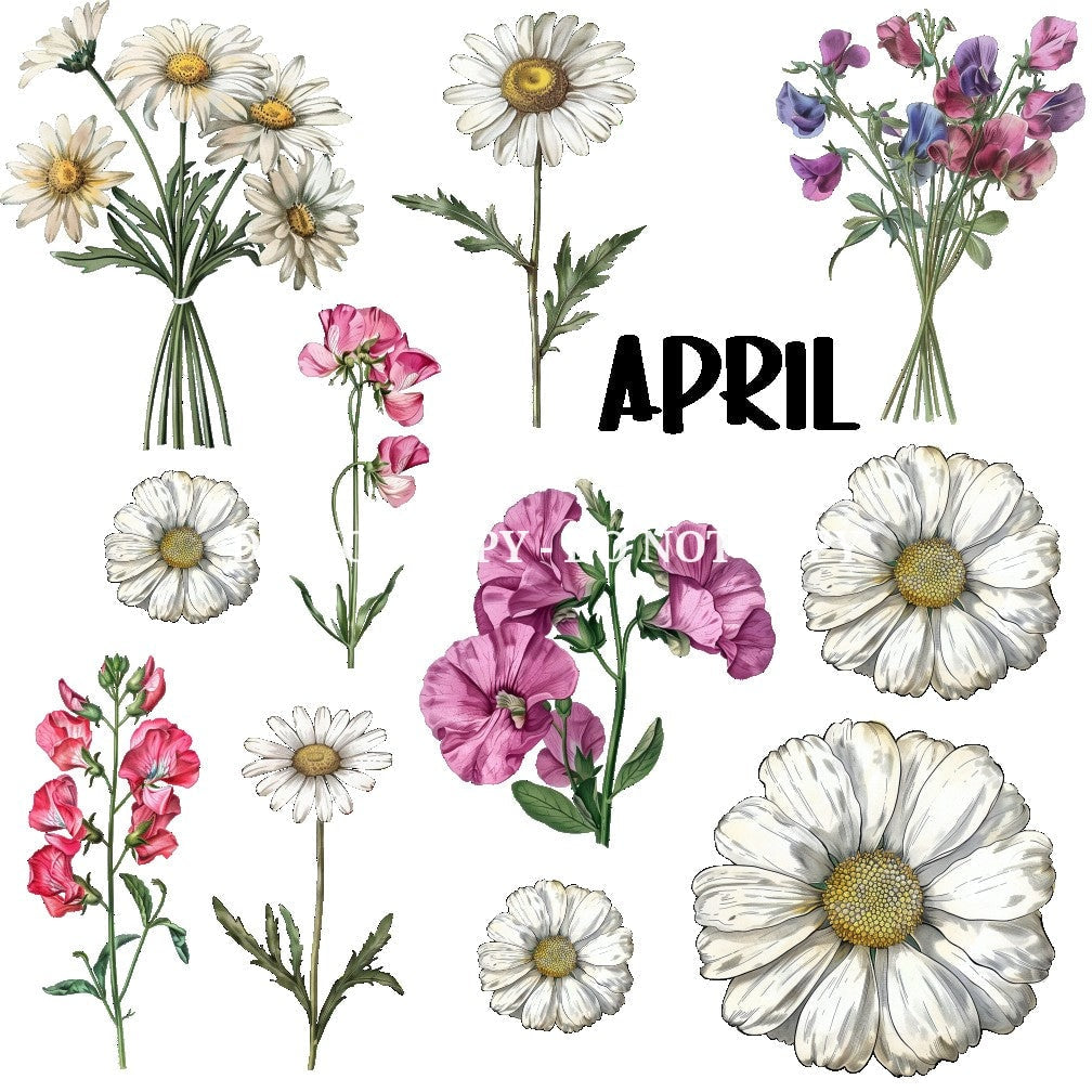 BIRTH FLOWER - FLAIR SHEET