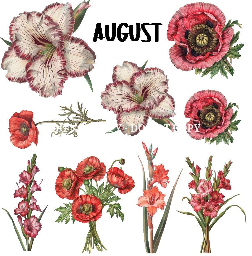 BIRTH FLOWER - FLAIR SHEET