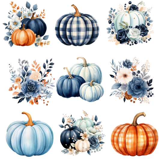 BLUE PUMPKINS FLAIR SHEET