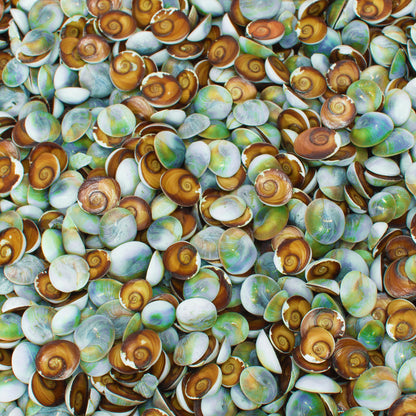 BEACH TEXTURES - MULTIPLE VARIATIONS