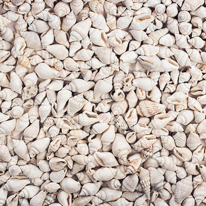 BEACH TEXTURES - MULTIPLE VARIATIONS