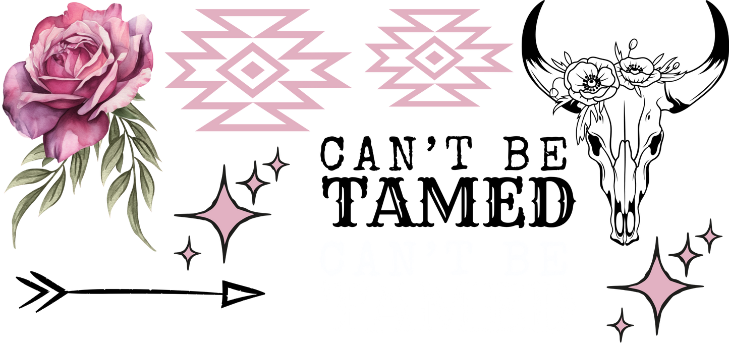 CAN'T BE TAMED - MINI FLAIR SHEET