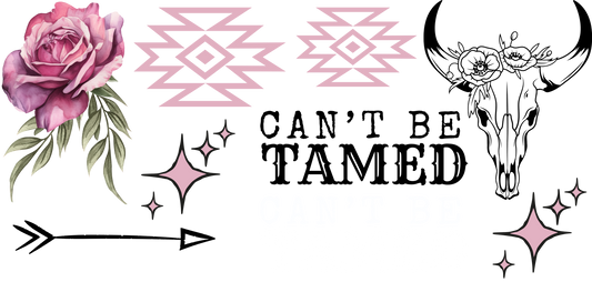 CAN'T BE TAMED - MINI FLAIR SHEET