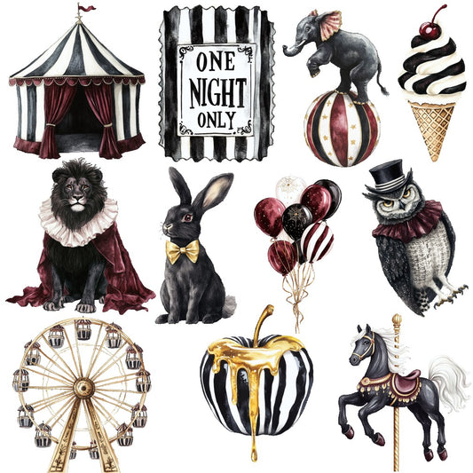 DARK CIRCUS - FLAIR SHEET