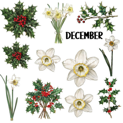 BIRTH FLOWER - FLAIR SHEET