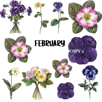 BIRTH FLOWER - FLAIR SHEET