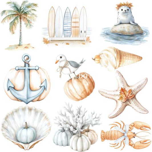 AUTUMN SHORE 1  - FLAIR SHEET